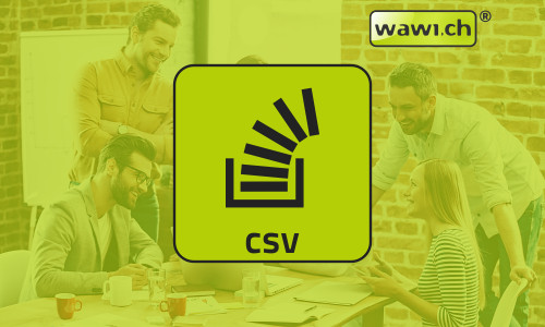 Webbasierter csv Konverter